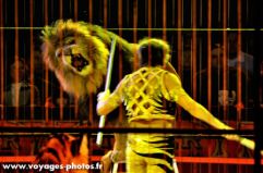 Le dompteur et le lion