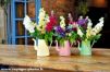 Bouquets de fleurs