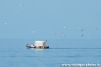 Bateau de pêcheur