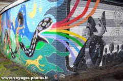 Serpent Belge