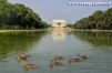 Canards à Washington
