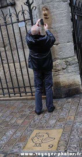 Chouette de Dijon