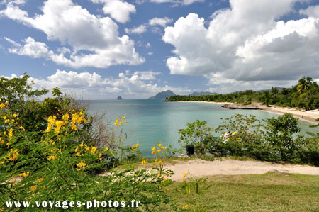 Paysage antillais