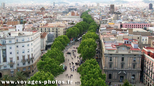 Avenue à Barcelone