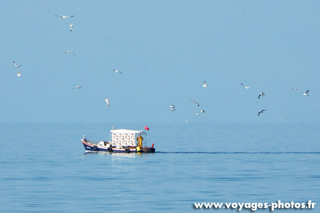 Bateau de pêcheur