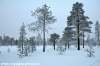 04finlande.jpg