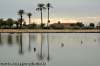 marrakech_06.jpg