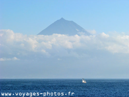 Aores -  Ile de Pico