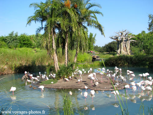 Floride Parc