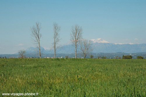 paysage de tuquie - Plaine de bl