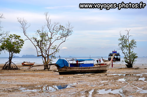 Bateau ensabl  mare basse