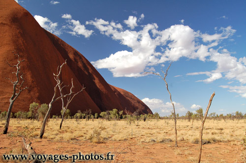 Outback - Australie