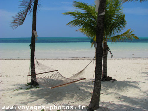 Hamac - Bahamas