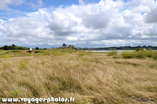 Rivage la baie du Kernic avec des herbes hautes