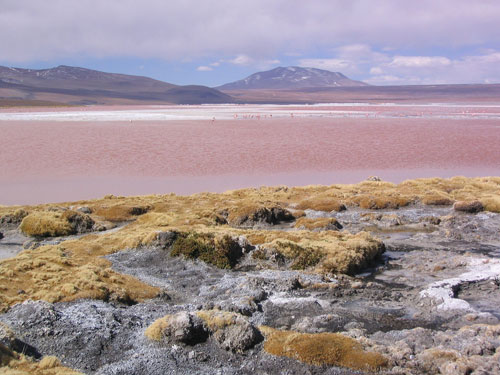 Beltany-  bolivie-sud