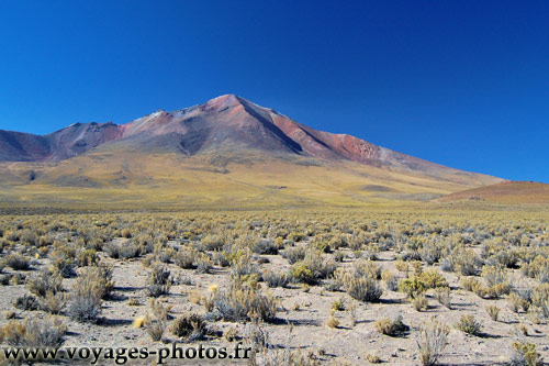 Dsert en Bolivie