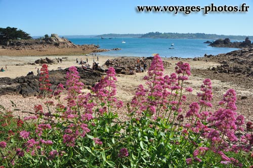 Plage de l ile de Brhat