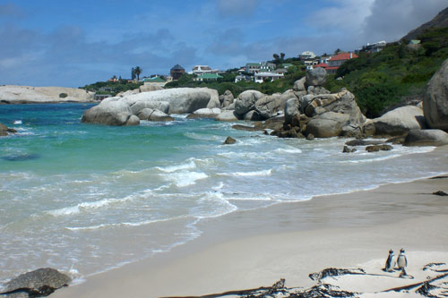 Boulders Beach