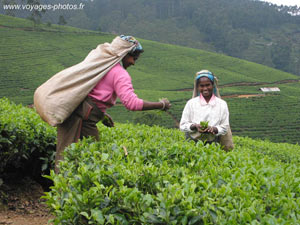 Sri Lanka