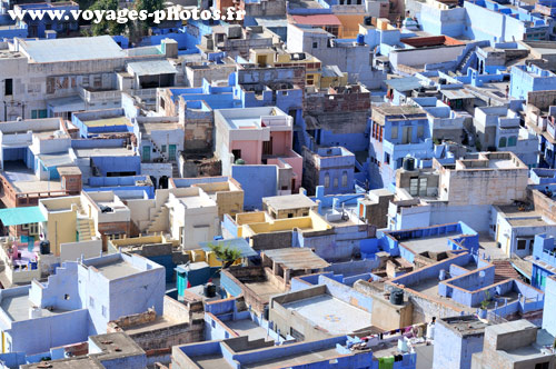 Jodhpur la ville bleue