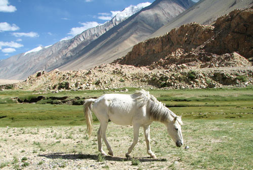 - ladakh