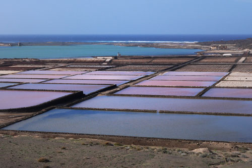 Ile de Lanzarote - Les salines