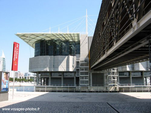 Oceanarium - lisbon