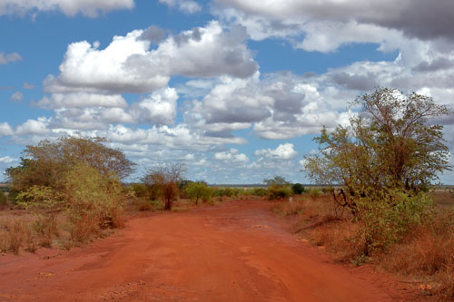 Madagascar - Paysage dsertique