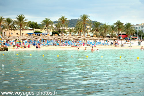 Palmiers sur la plage