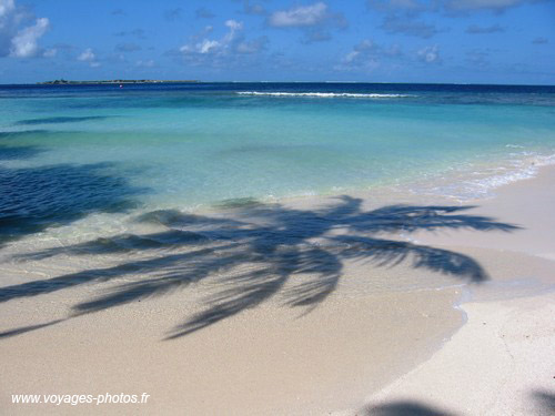 Plage Embudu - maldives