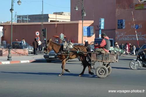 Maroc - marrakech