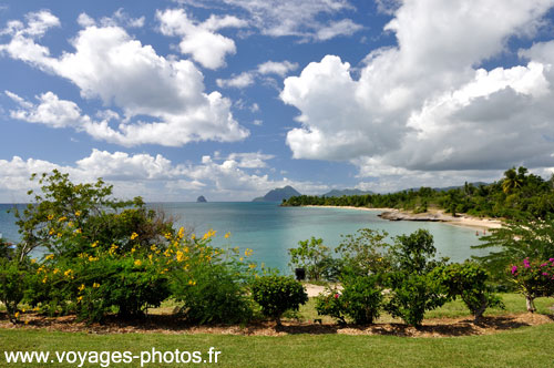 plage de Saint Luce dans les Antilles franaise