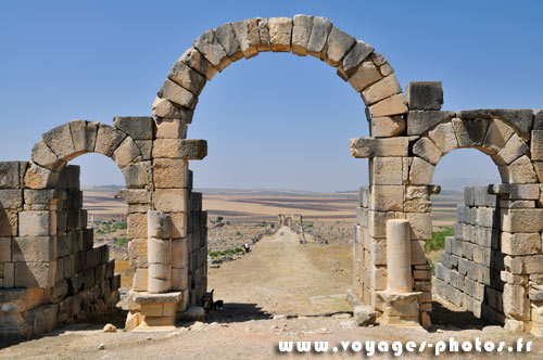 ruine de Volubilis