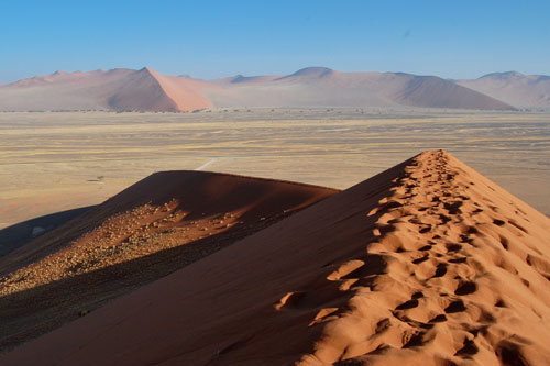 Namibie - Désert de Namib