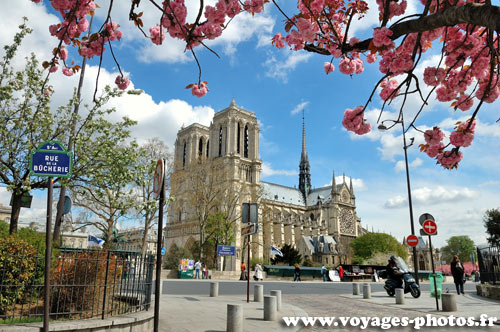 Notre-Dame de Paris