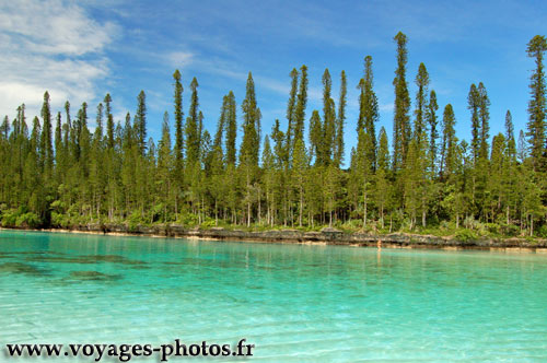 Ile aux pins - Piscine naturelle