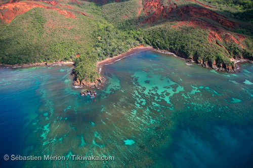 Recif corail - nouvelle-caledonie 