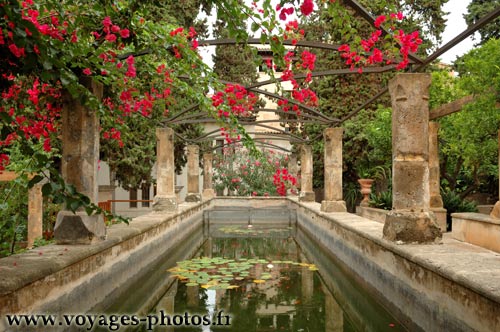 Jardin du palais piscopal