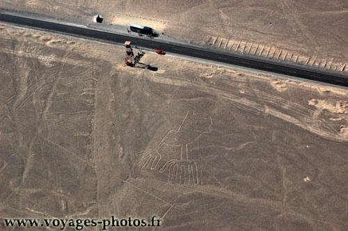 lignes geoglyphes de Nazca