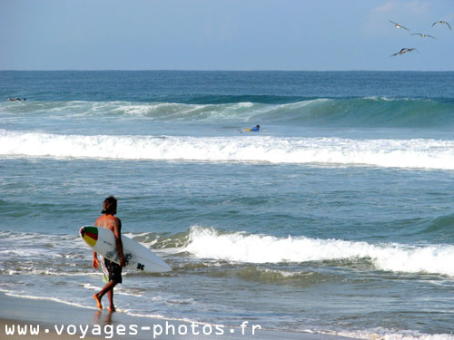 Surf -  Mexique