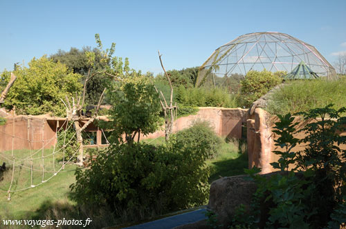 zoo de Rome