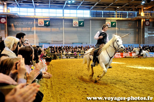 Cavalier montant un cheval Camarguais