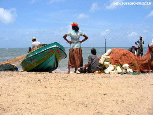 Negombo - sri-lanka 