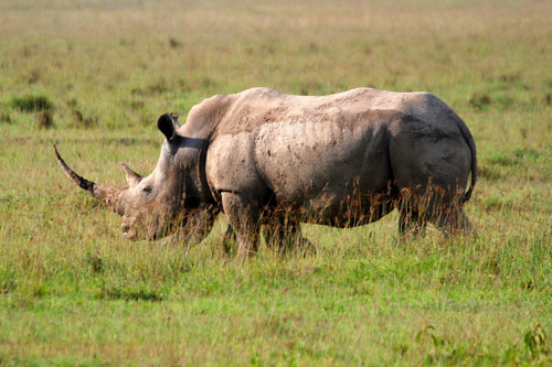 Tanzania