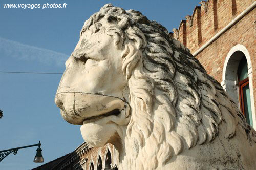 Lion - venise