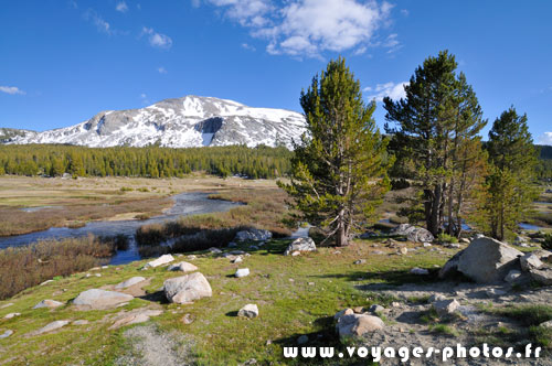 Parc National de Yosemite - Tuolumne Meadows